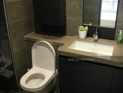 Skysuites@Anson (D2), Apartment #128636322